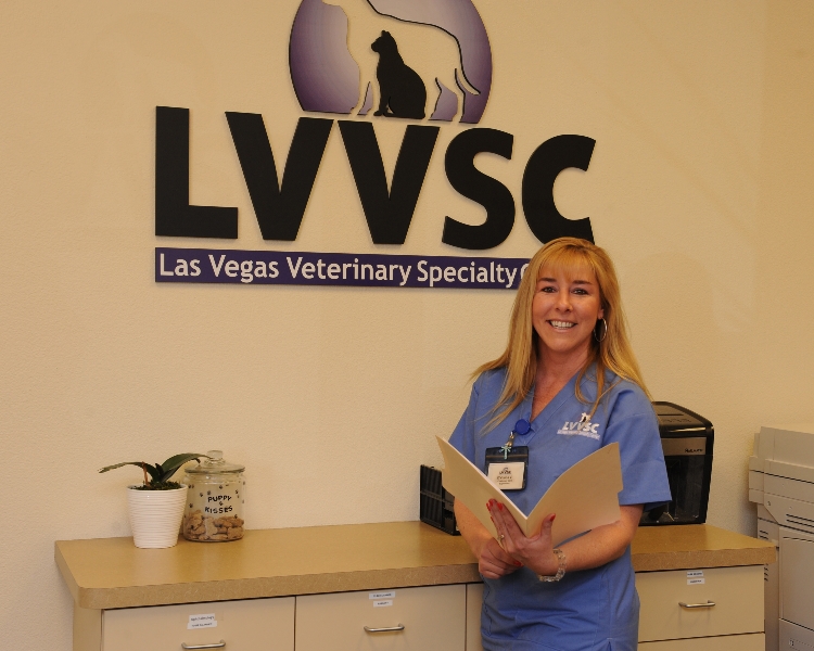 Photo Gallery Las Vegas Veterinarian Las Vegas Veterinary Specialty