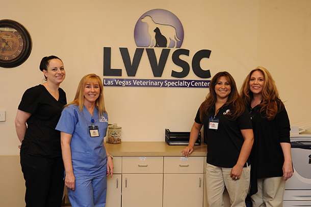 Explore Las Vegas Veterinary Careers | Las Vegas Veterinary Specialty Center