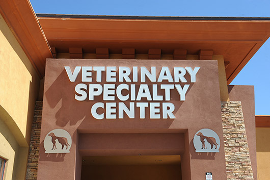 Subscribe to Our Newsletter | Las Vegas Veterinary Specialty Center