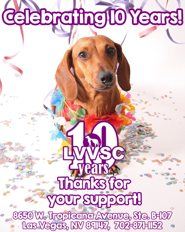 Celebrating 10 Years! | Las Vegas Veterinary Specialty Center