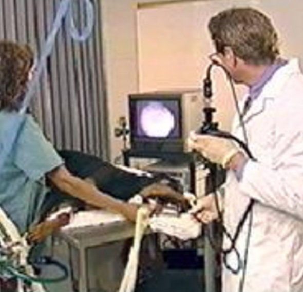 Endoscopy | Las Vegas Veterinary Specialty Center