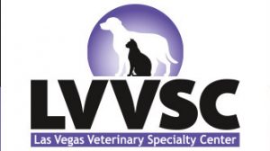 Payment Information in Las Vegas, NV | Las Vegas Veterinary Specialty Center